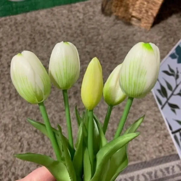 Home, White Tulip Bunch