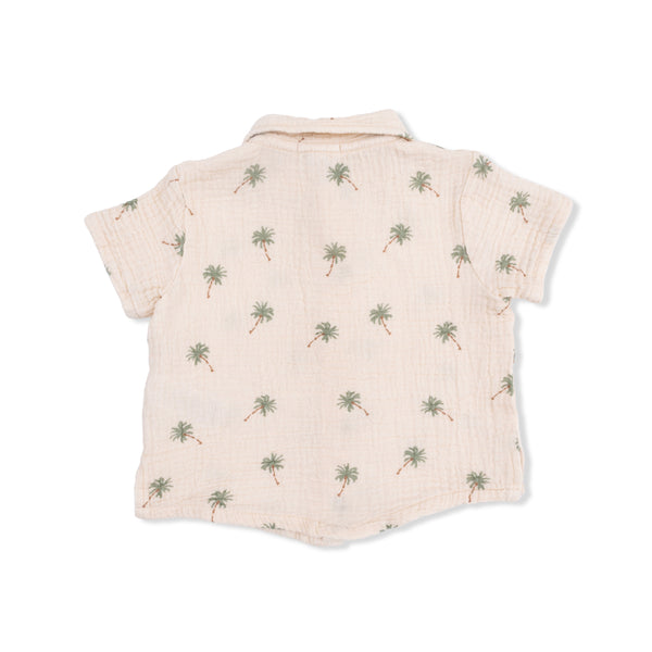 Kid, Button Up/Short Set